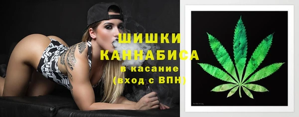 амф Аркадак