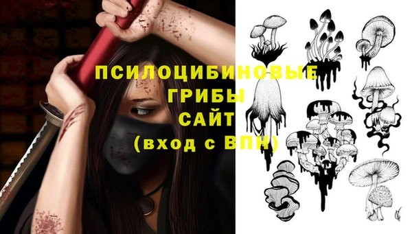 амф Аркадак