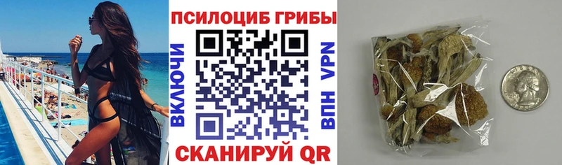 ссылка на мегу вход  Калязин  Галлюциногенные грибы Cubensis 